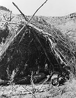 Paiute Wickiup, 1874